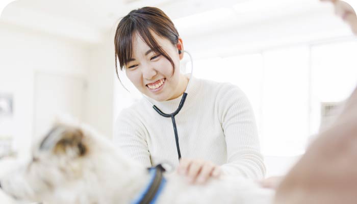 動物看護師学科 | 学科・コース | 神戸動植物環境専門学校
