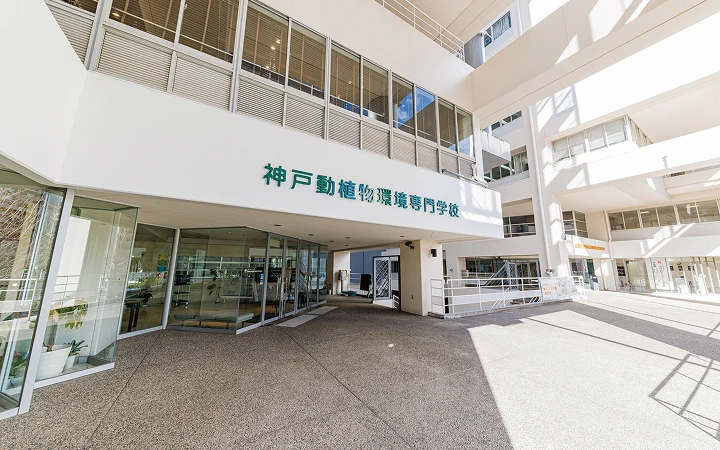 アクセスイメージ