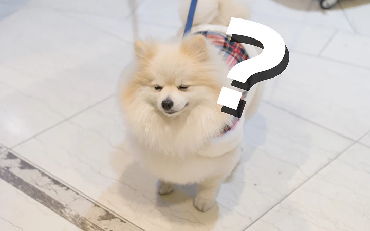 よくある質問イメージ