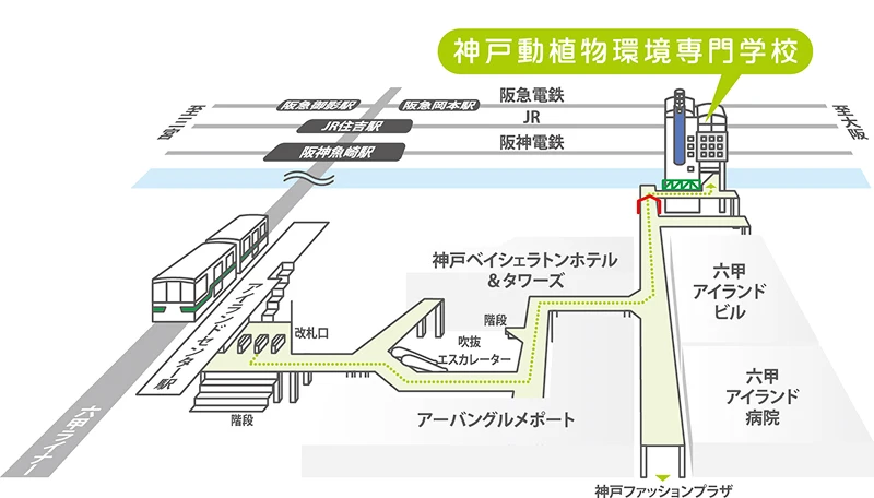 周辺マップイメージ