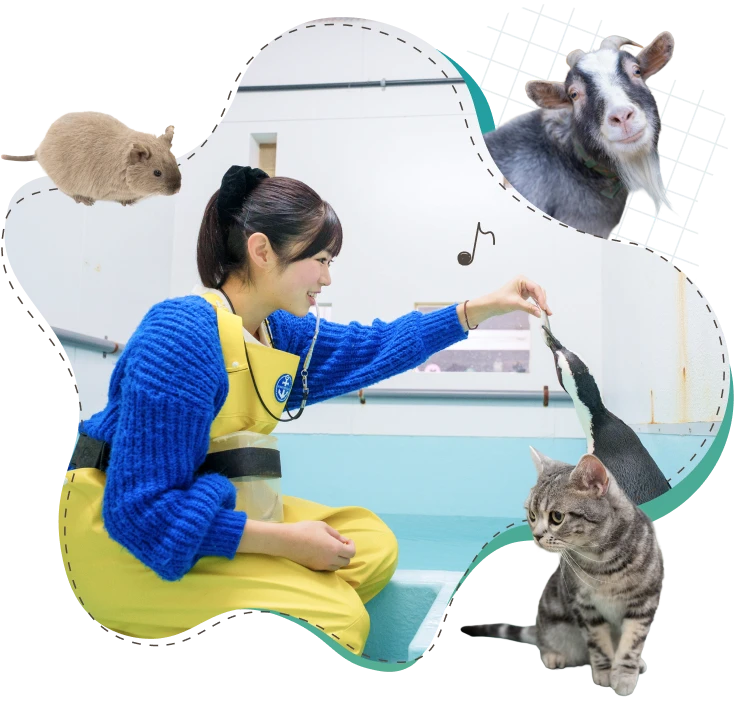 サークル活動イメージ