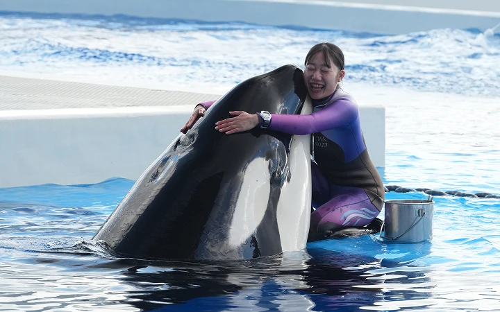 就職サポート・実績イメージ