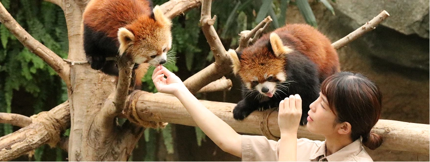 就職・資格イメージ