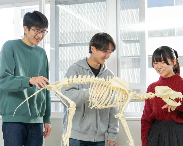 学科・コースイメージ