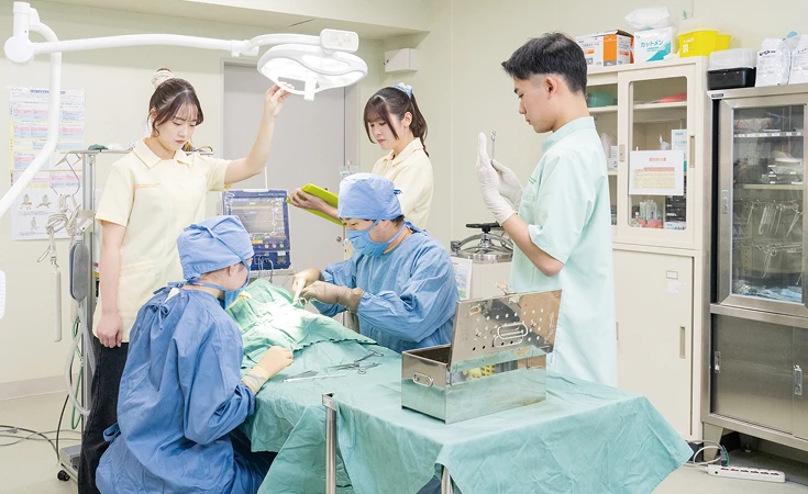 動物看護師学科イメージ