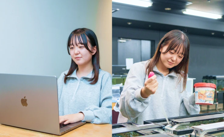 通信制学科イメージ