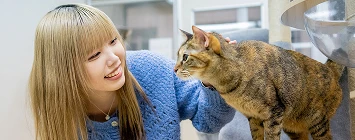 スモールアニマルコースイメージ