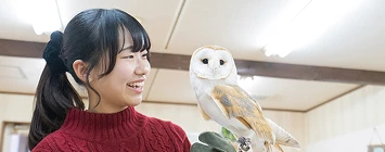 ワイルドアニマルコースイメージ