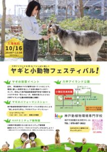 はなちゃん🐐ついに、デビューです。
