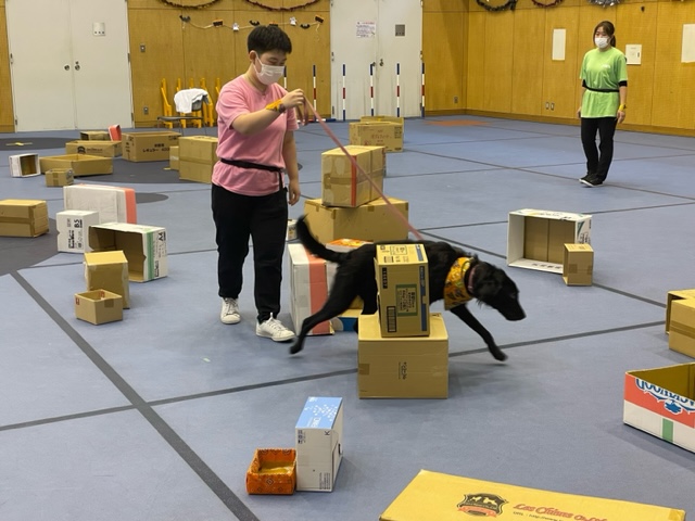 KAP EXPO2022ありがとうございました🐶🐾