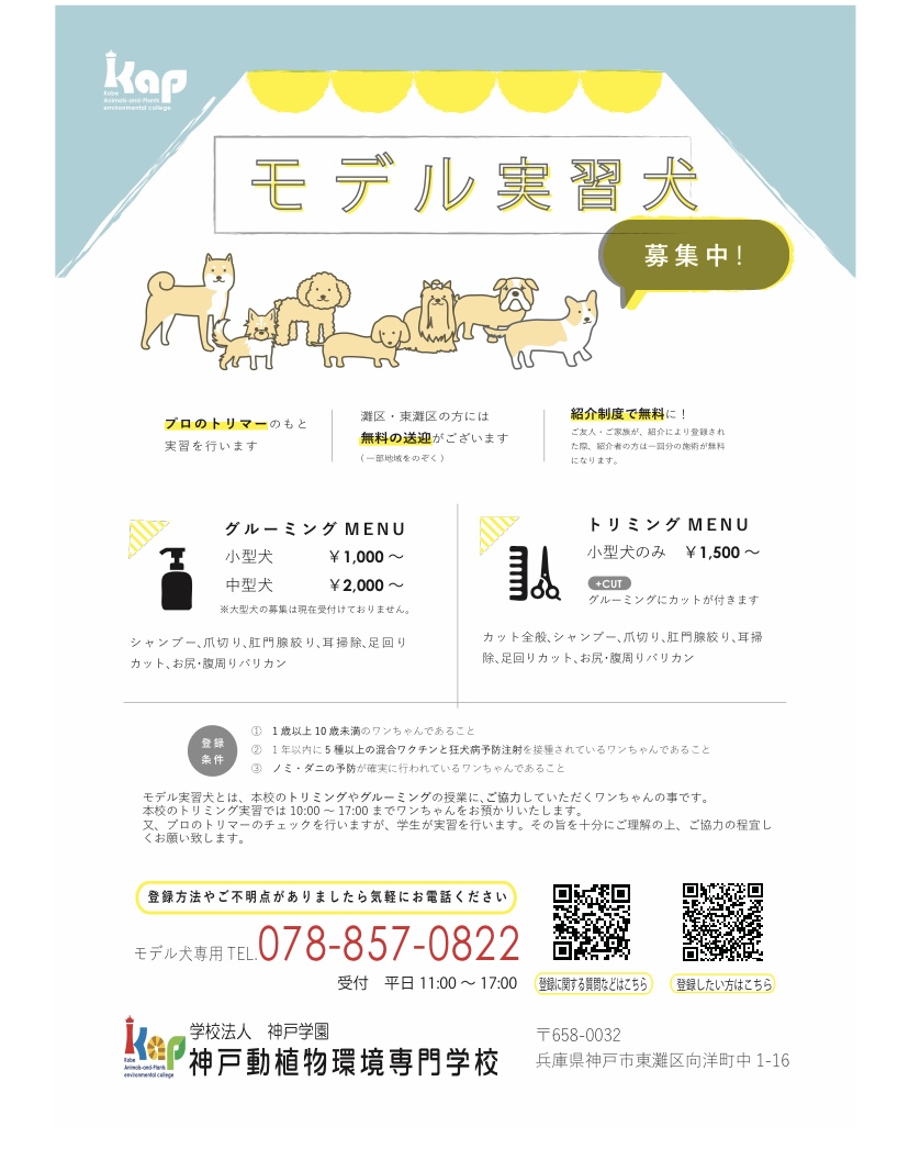 後期実習についてのお知らせついでに、新規登録の募集もしちゃいます！