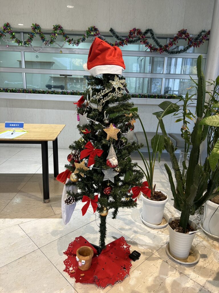 クリスマス気分♪🎄