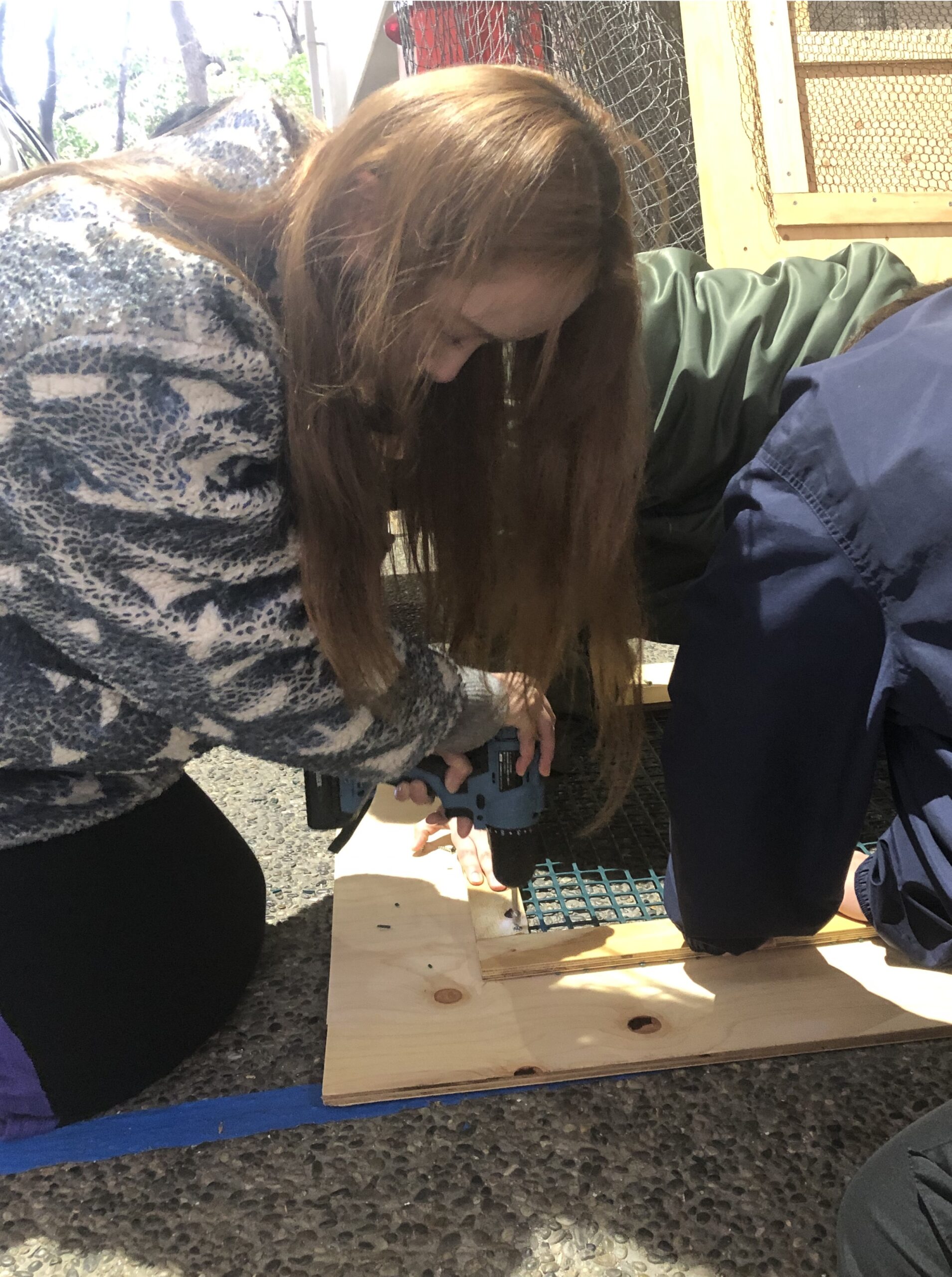 メンフクロウのおうちを作成しています🦉✨