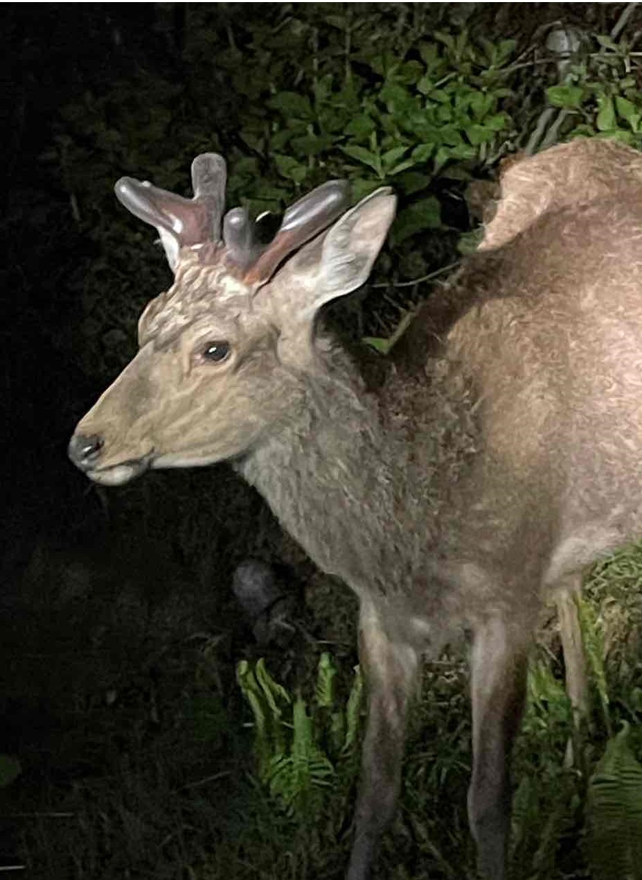 北海道研修旅行✈️