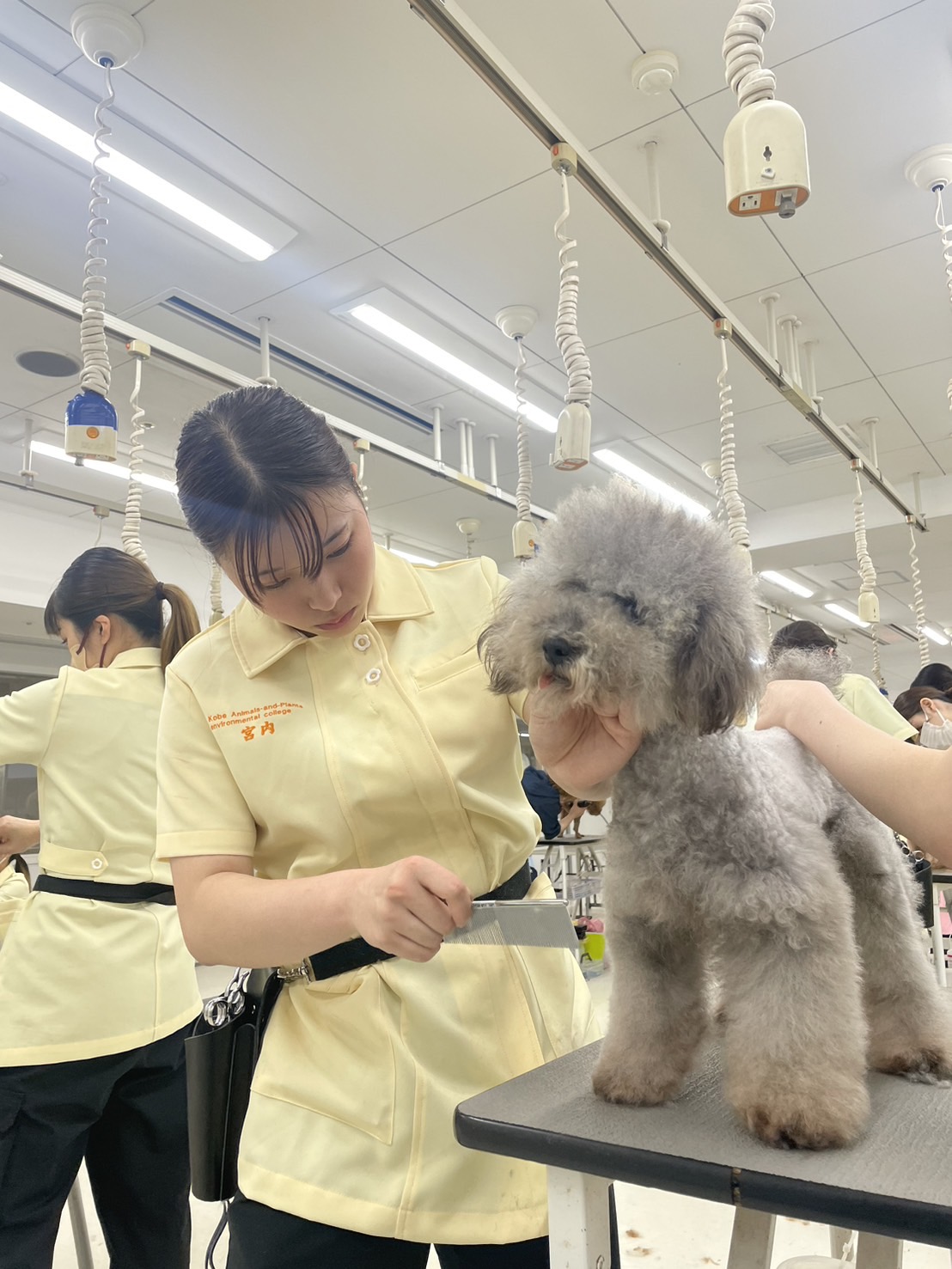 スポーツ大会に向けて…！！