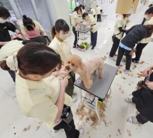 ５月最後のモデル犬紹介です。