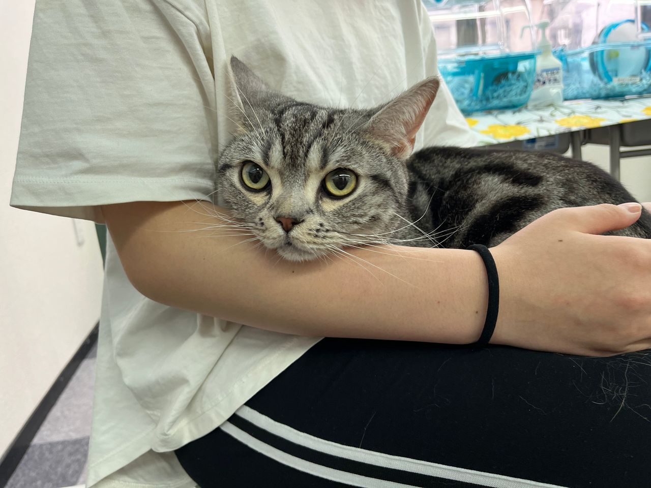 体験授業！～どうぶつたちとのふれあい～