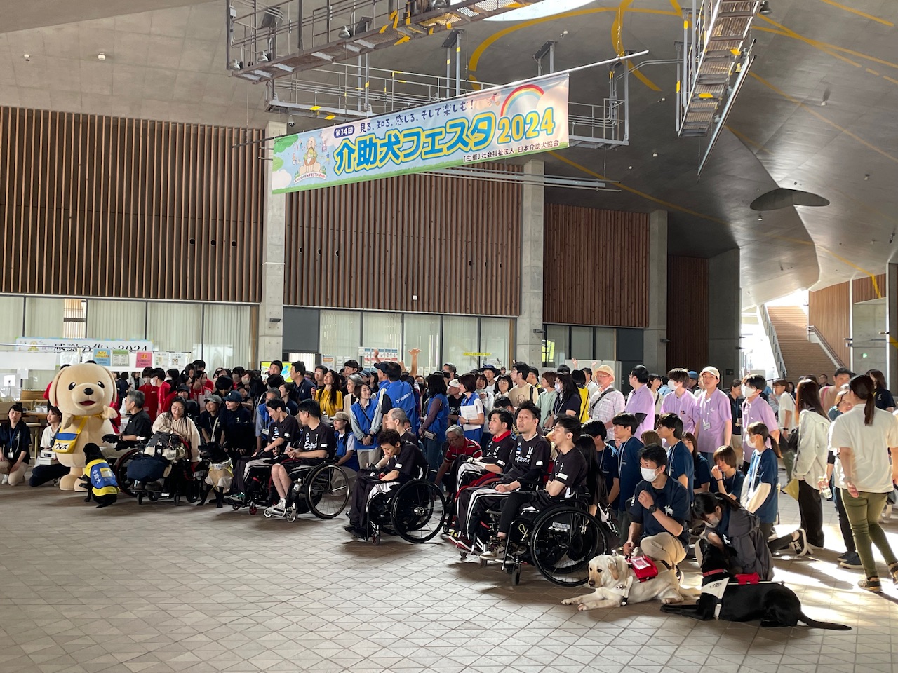 介助犬フェスタ2024参加しました🐶