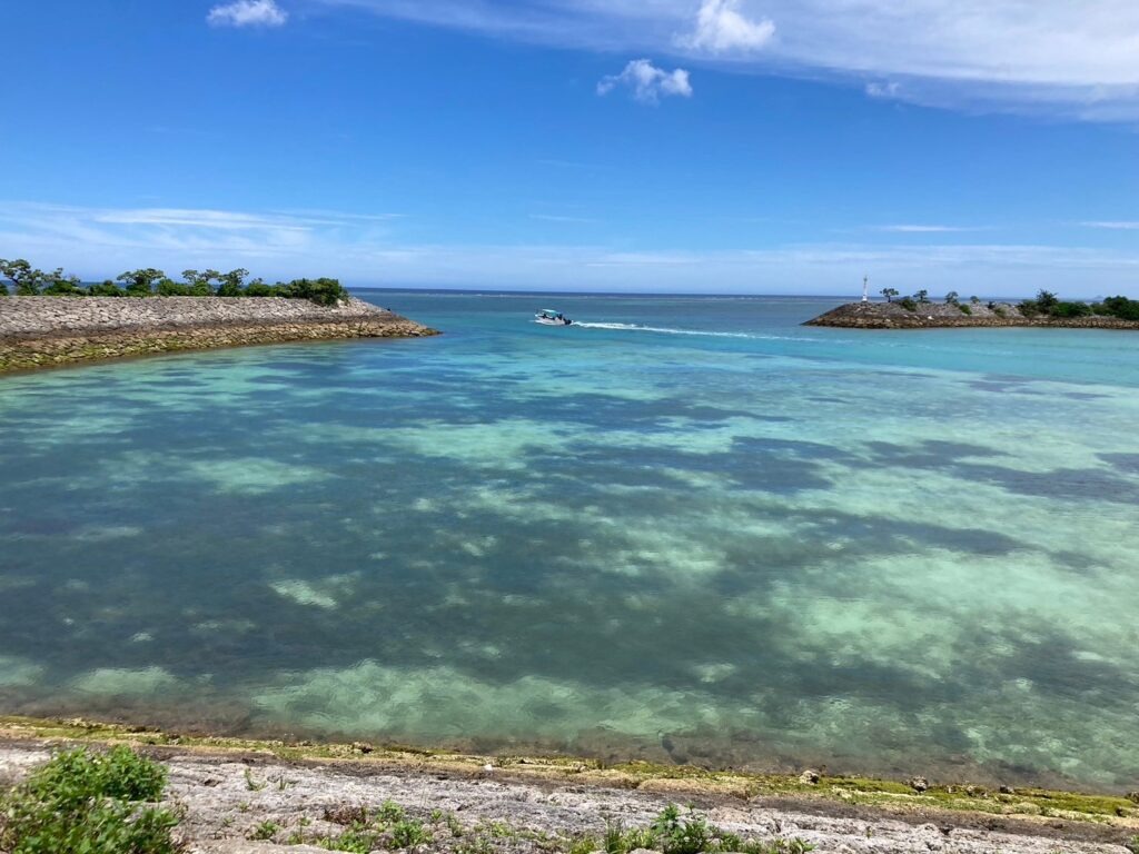 🐟水族館ゼミ 沖縄研修 part2 🐟