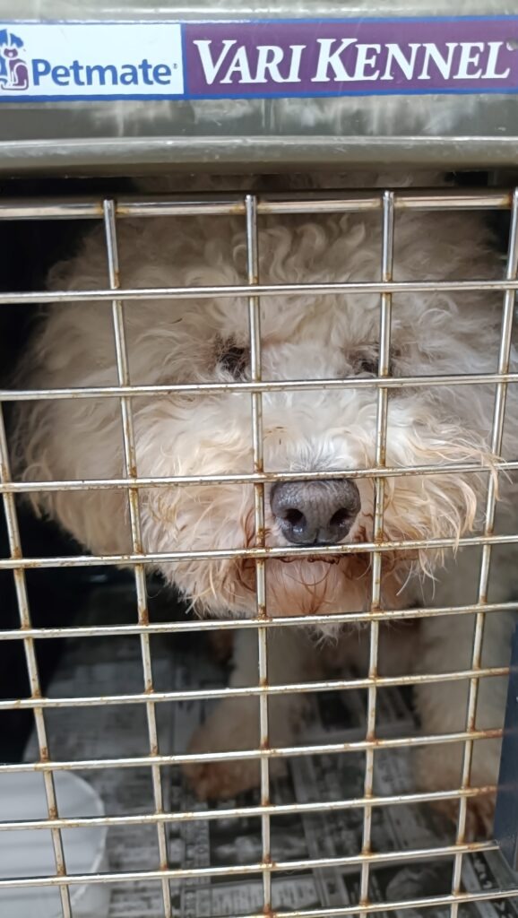 夏休み期間中も補講を頑張っています