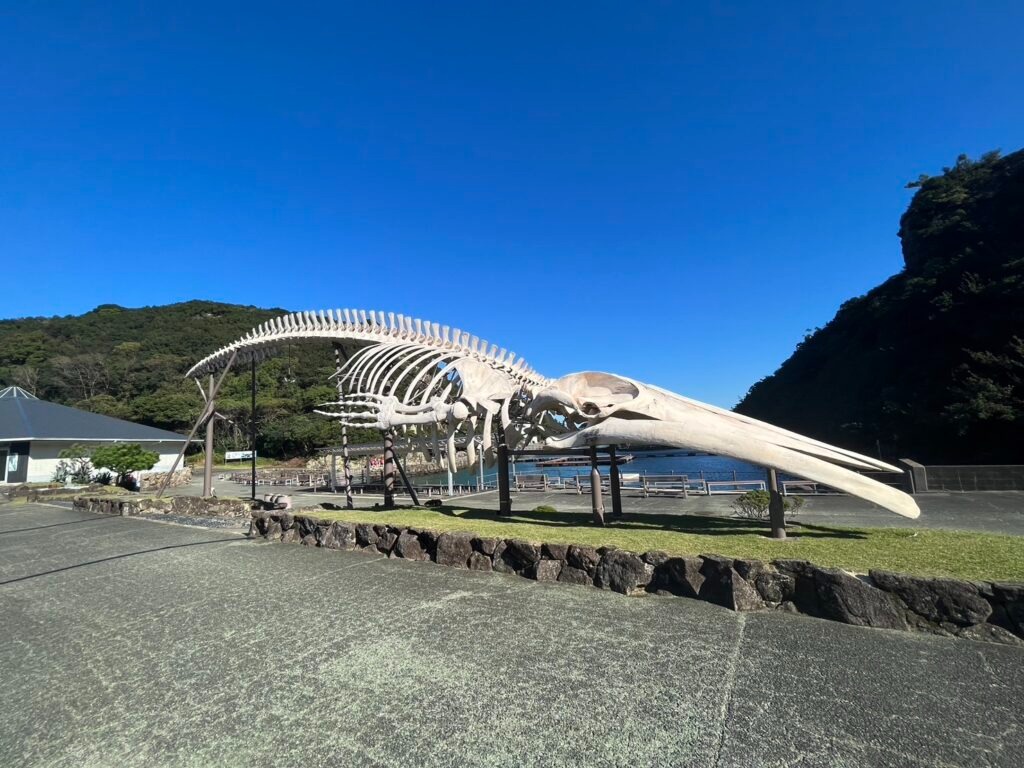 🐟アクアスペシャリストコース 南紀研修 part1 🐟