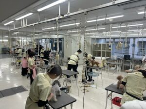 １２月も近づき本格的な寒さになってきました❄️