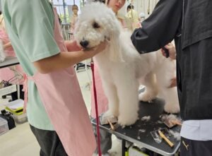 11月に入りました。秋到来・・・🍁冷え込んでくる季節🍁になりました。