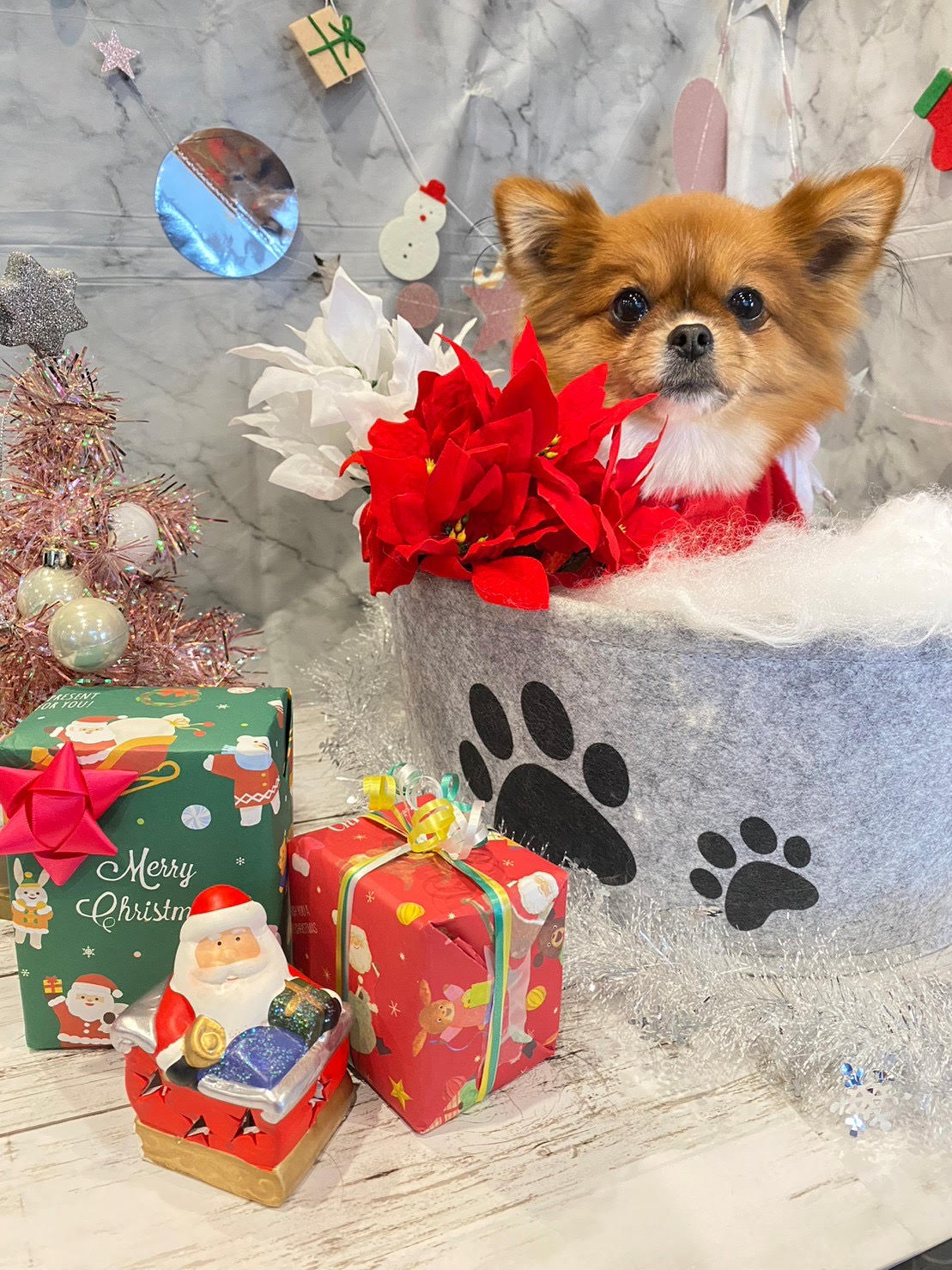 🎄12/21(土)クリスマス🎄オープンカレッジ開催！！