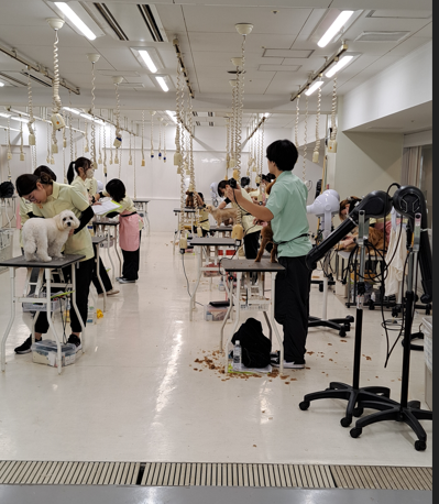 モデル犬現場直撃・・・！