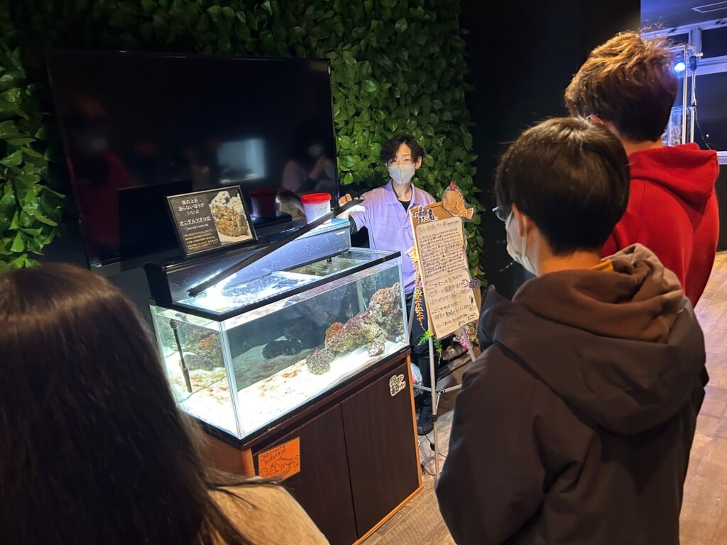 🐟水族館『AQUR TEXT』（冬）一般開放！【1/18（土）】🐟