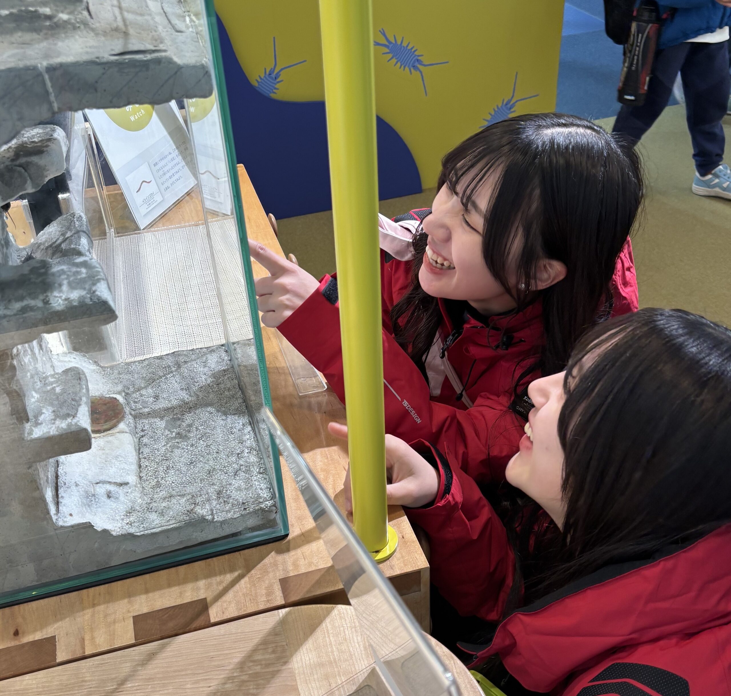 ショップゼミ・動物看護師ゼミ合同研修旅行振り返り～🐱