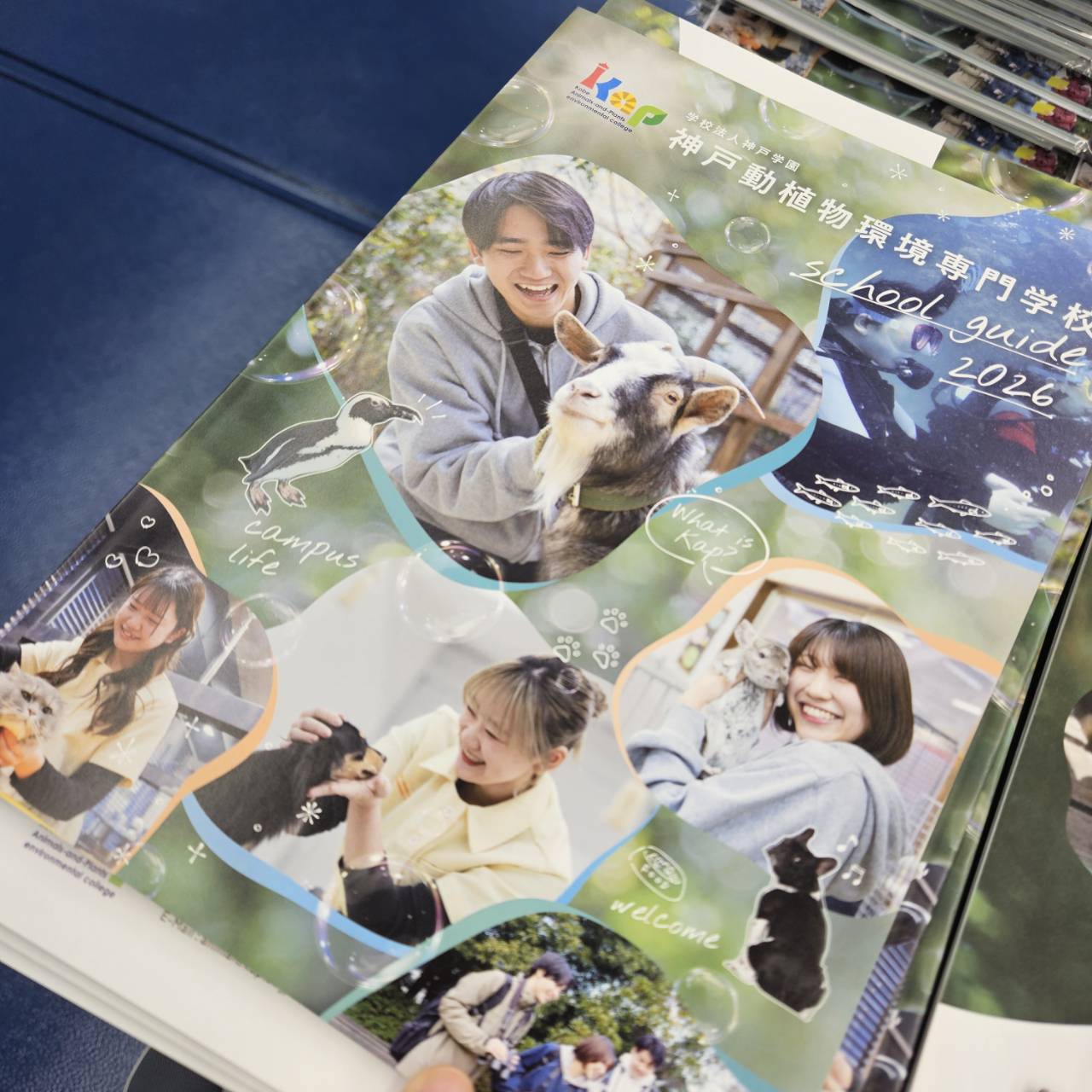 新年度準備中～♪