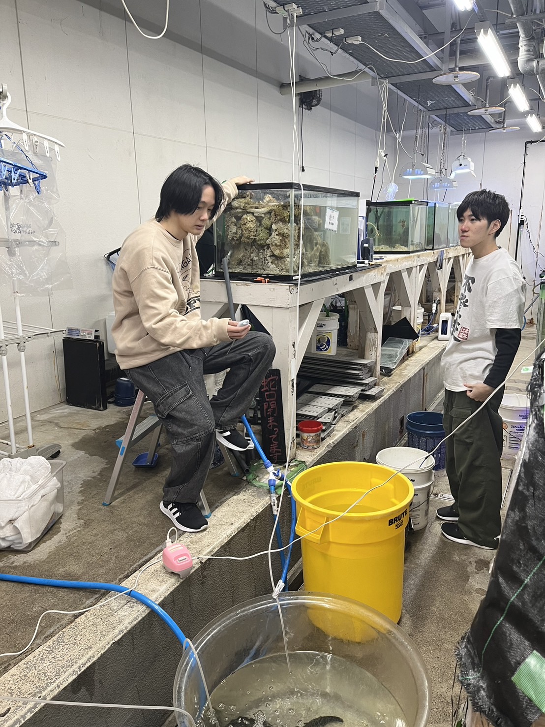 🐟ウツボのお引越し🐟