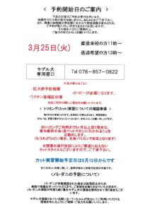 モデル犬予約開始日は3月25日(火)です🐶