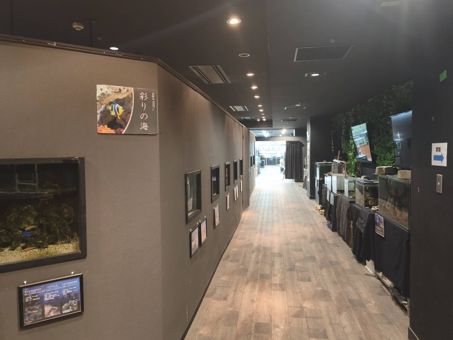 🐟地下水族館の大掃除🐟