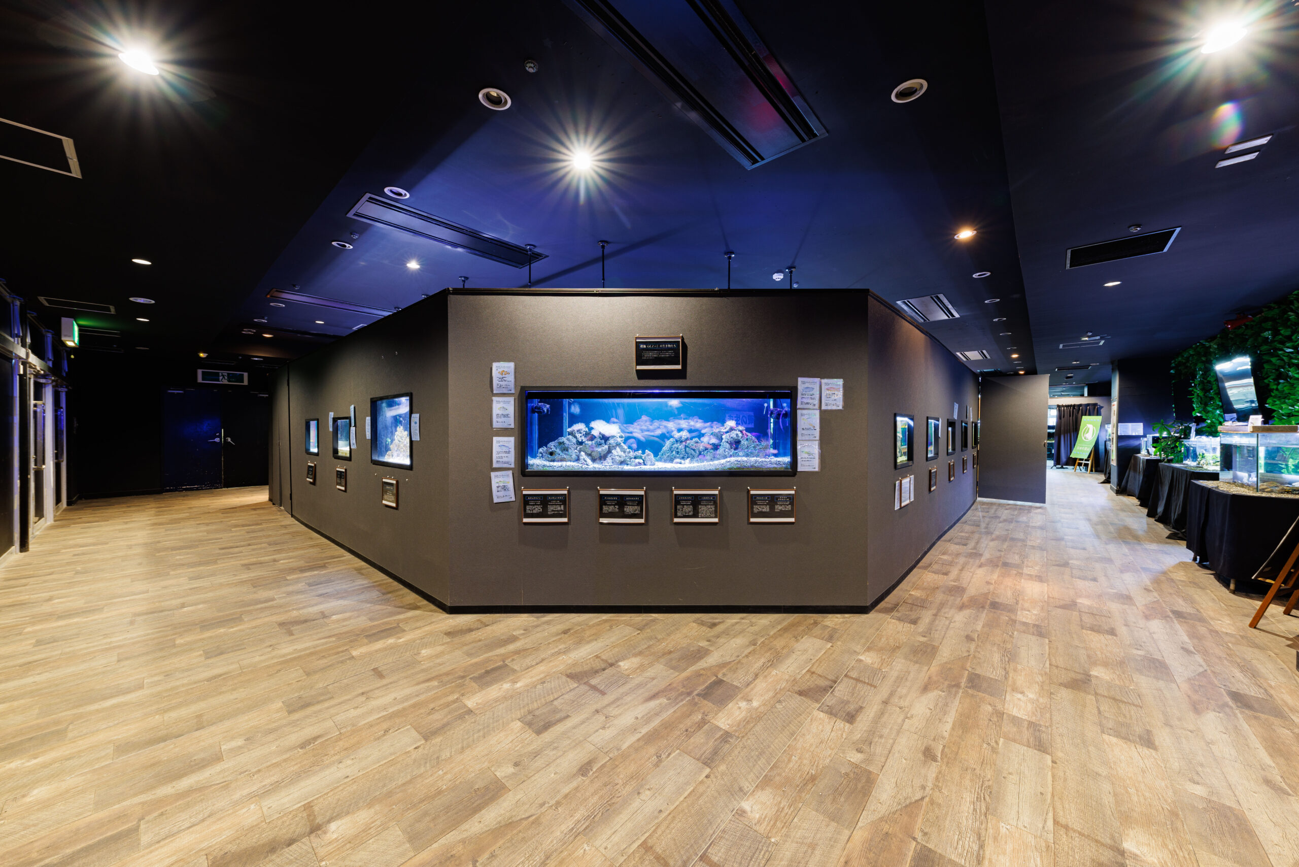 神戸学園水族館 AQUA TEXT