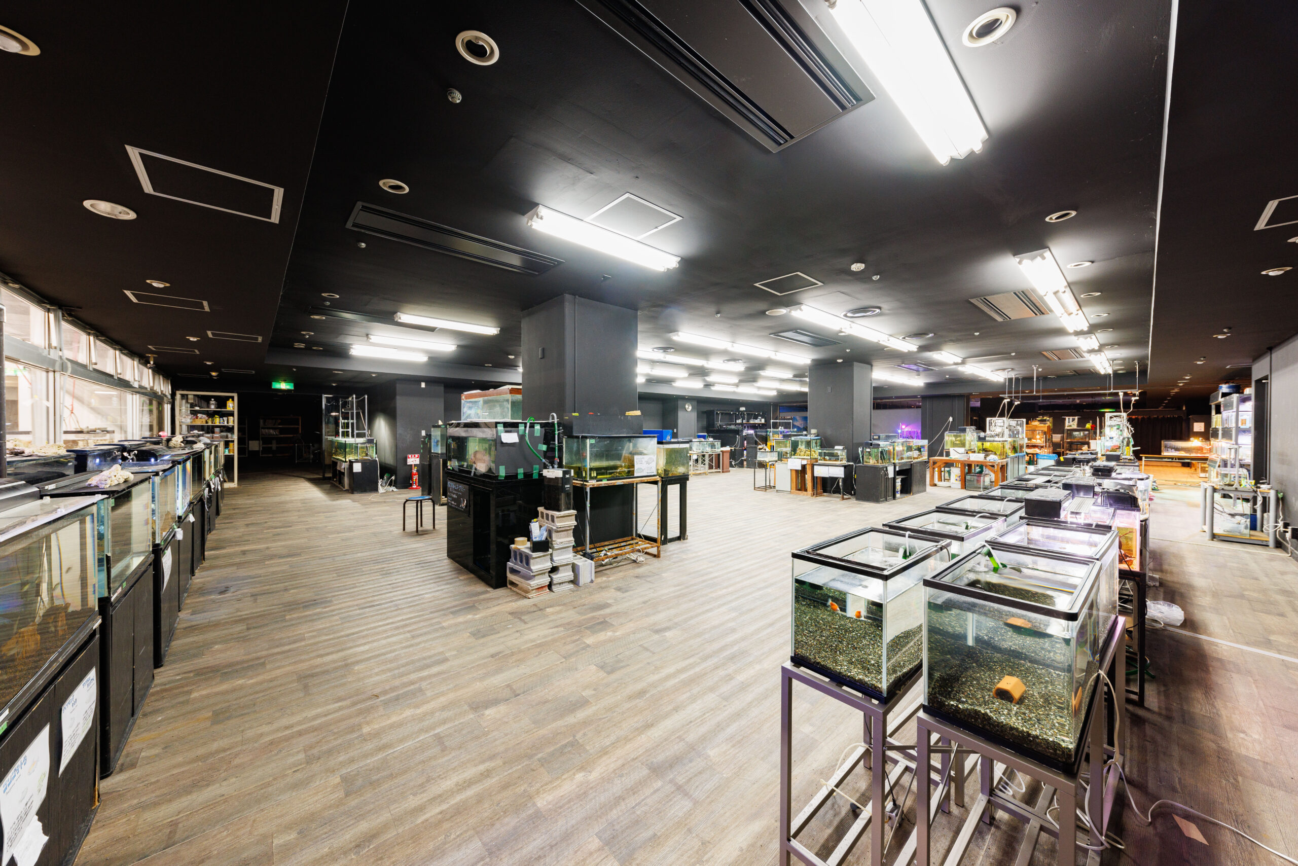 アクアリウム実習スペース