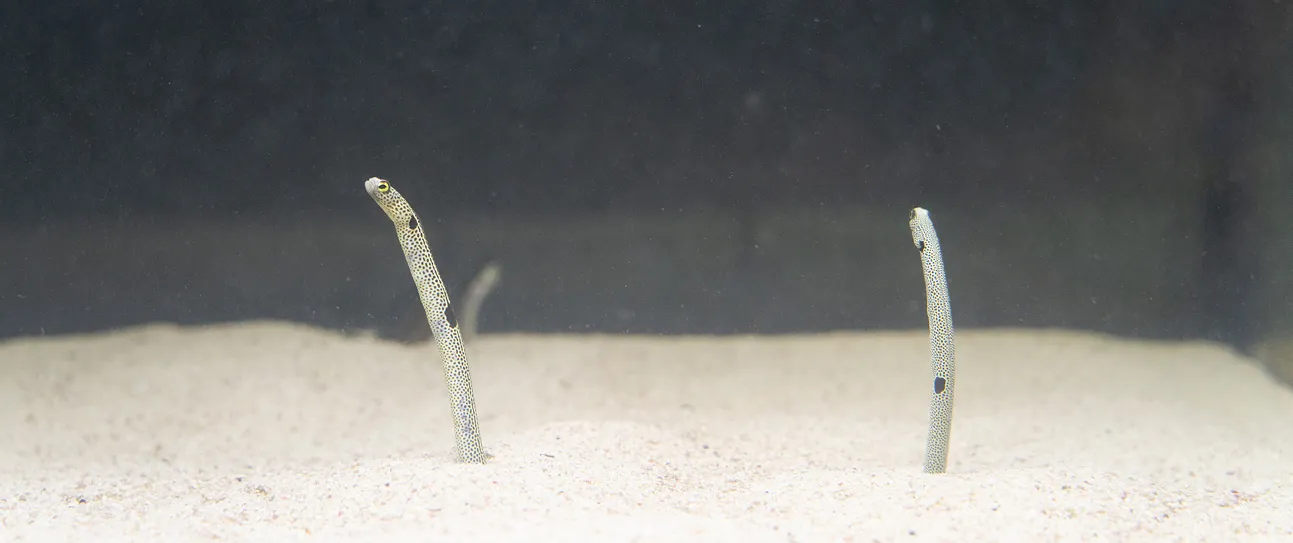 個人情報について