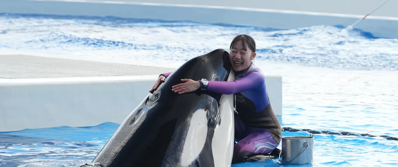 就職サポート・実績