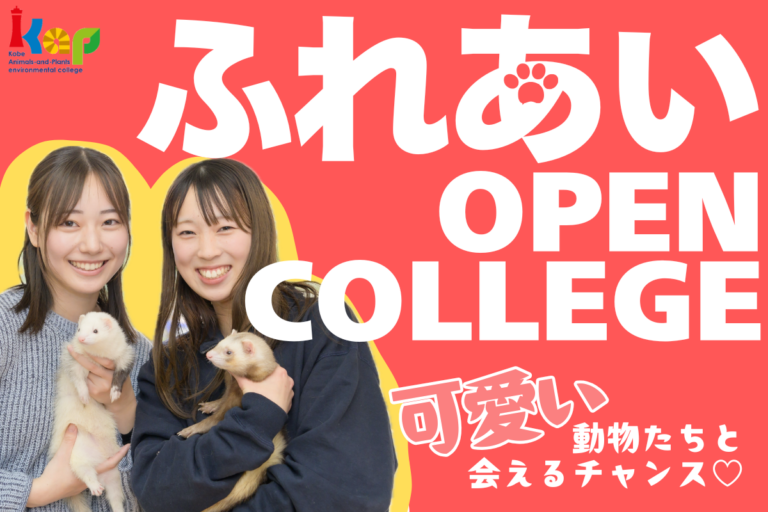 ふれあいオープンカレッジ