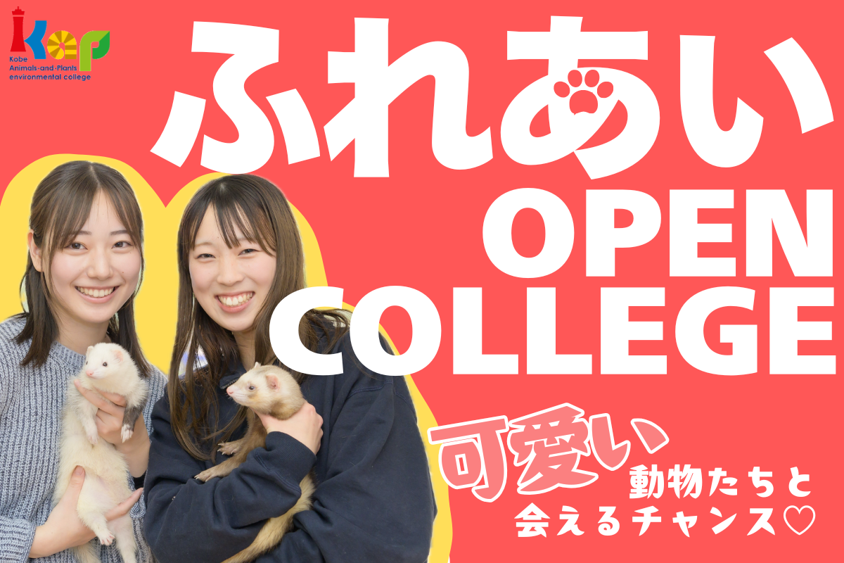 ふれあいオープンカレッジ