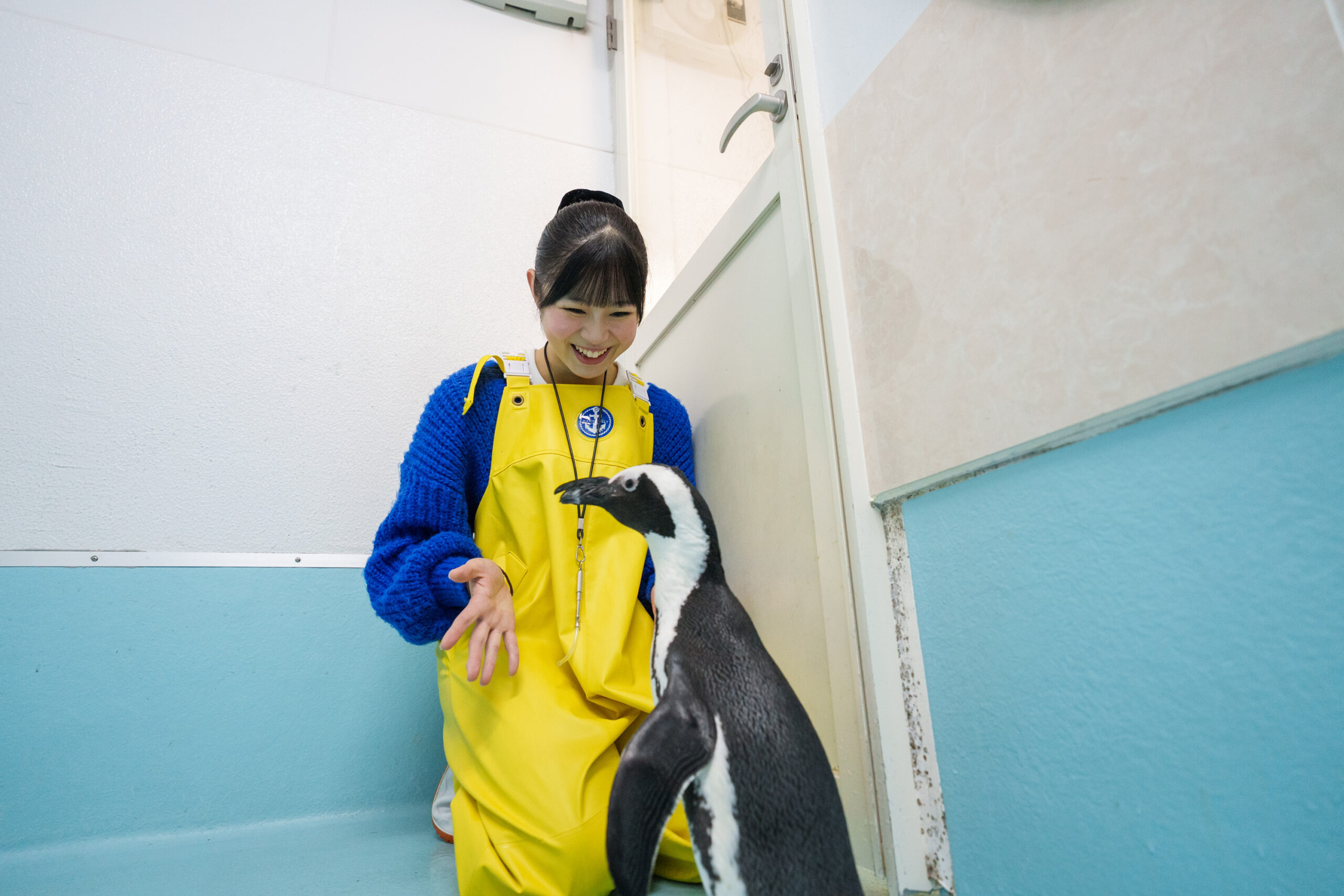 ペンギンサークル