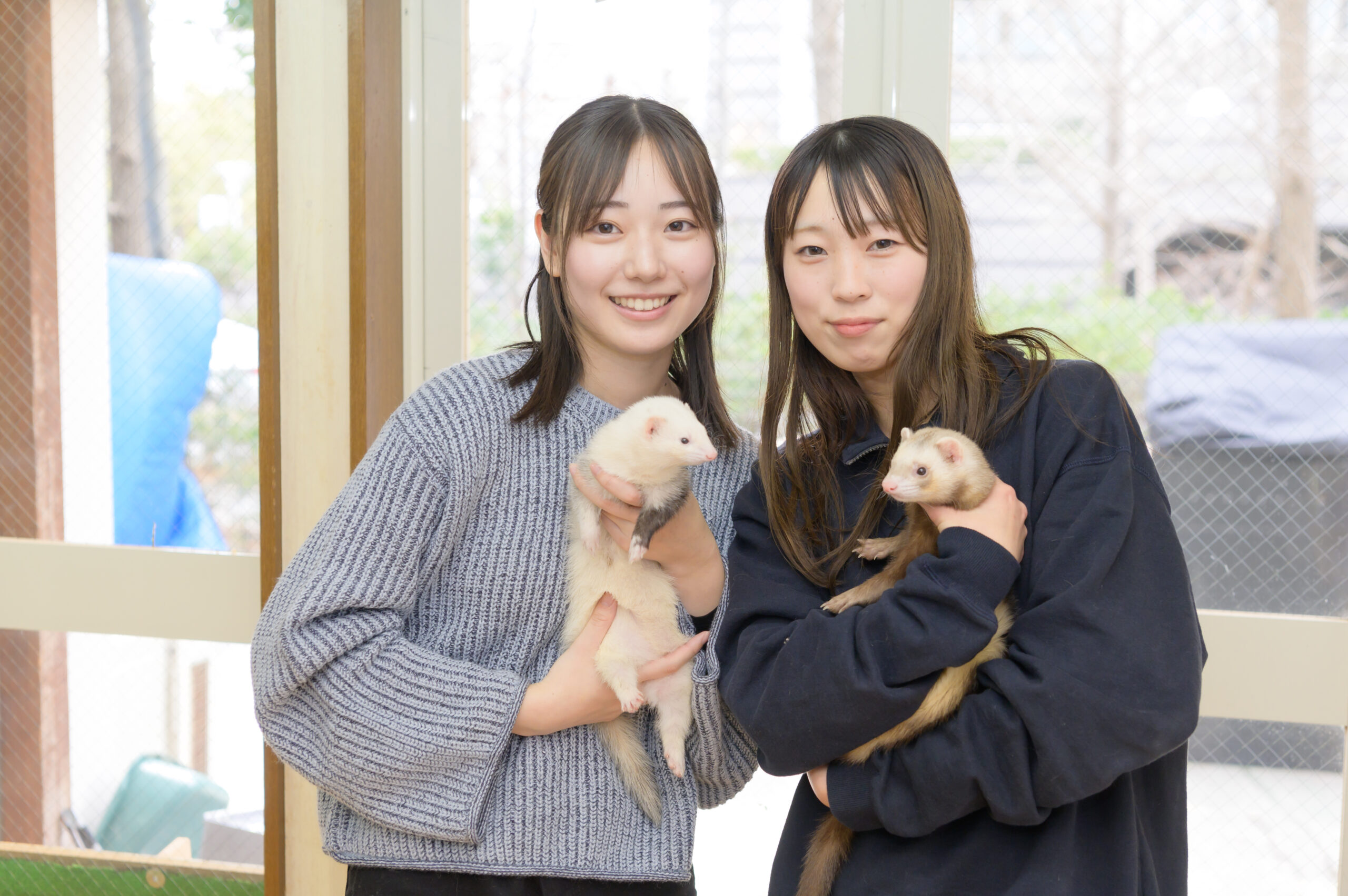 飼育棟サークル