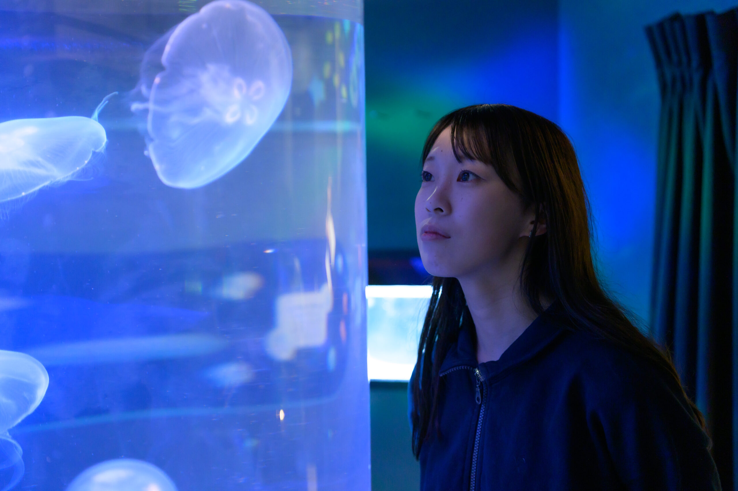 クラゲサークル