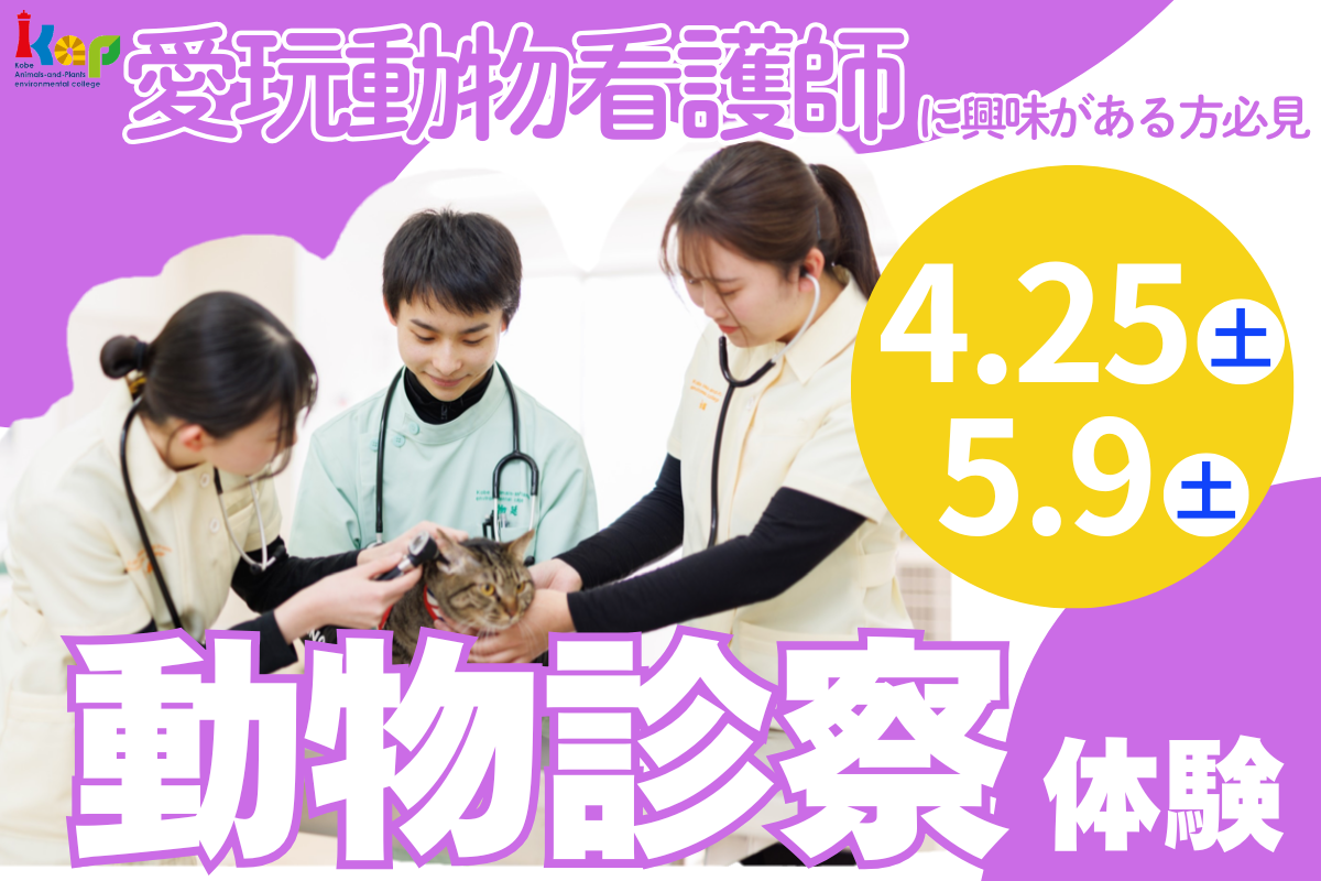 動物看護師「診察」体験