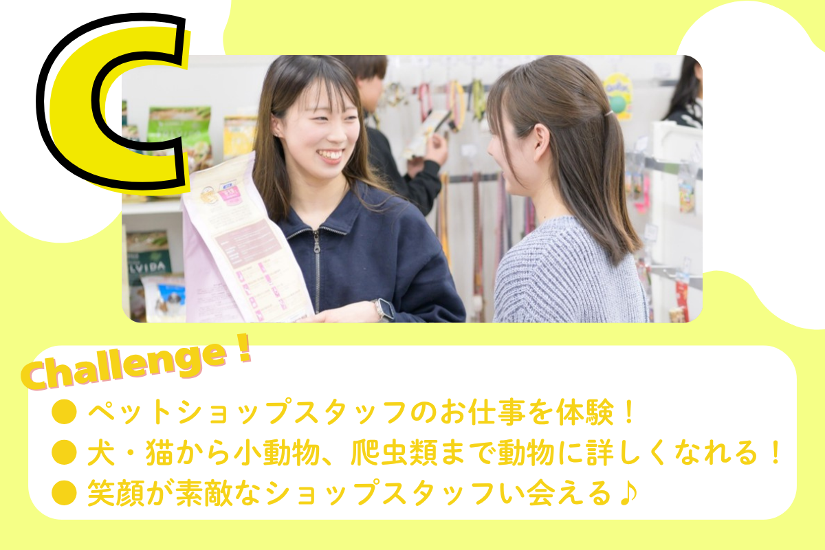 ペットショップスタッフ体験