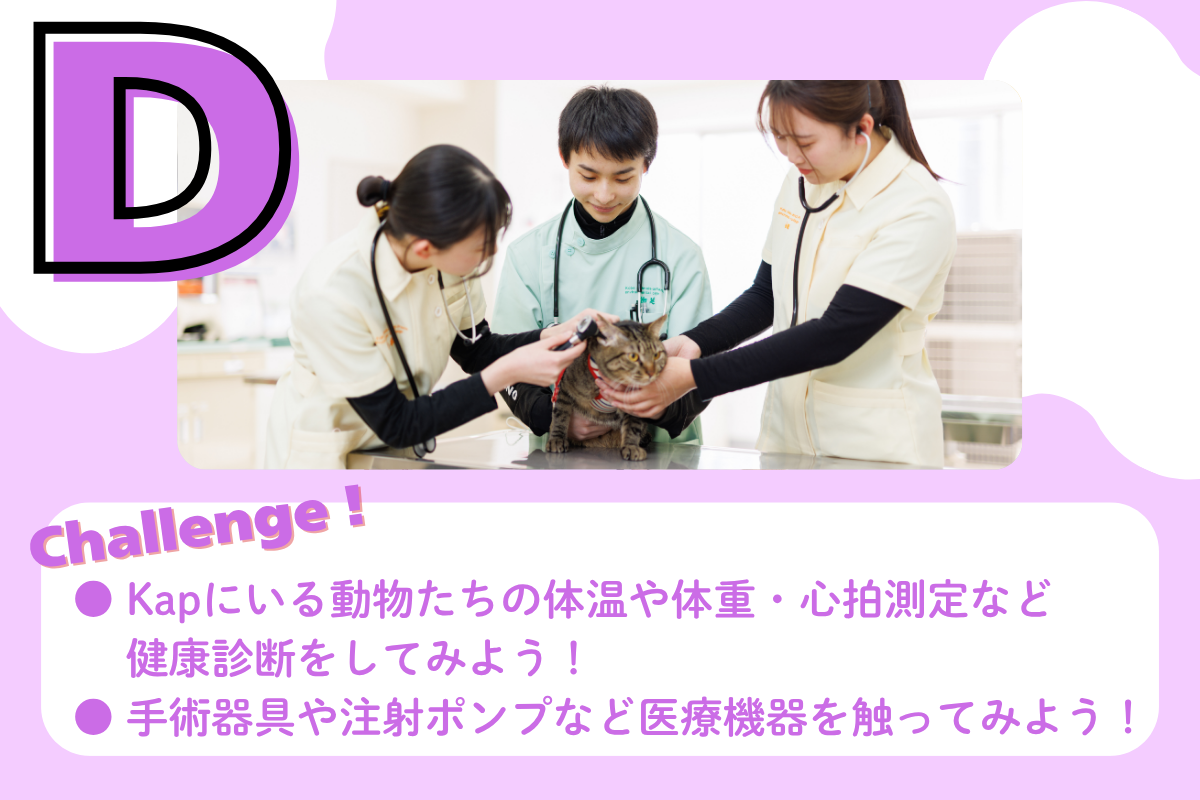 動物看護師体験