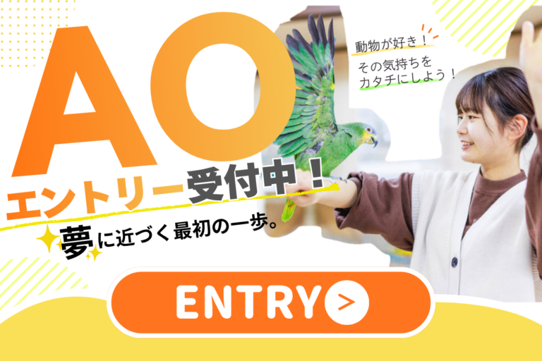 AOエントリーはコチラ