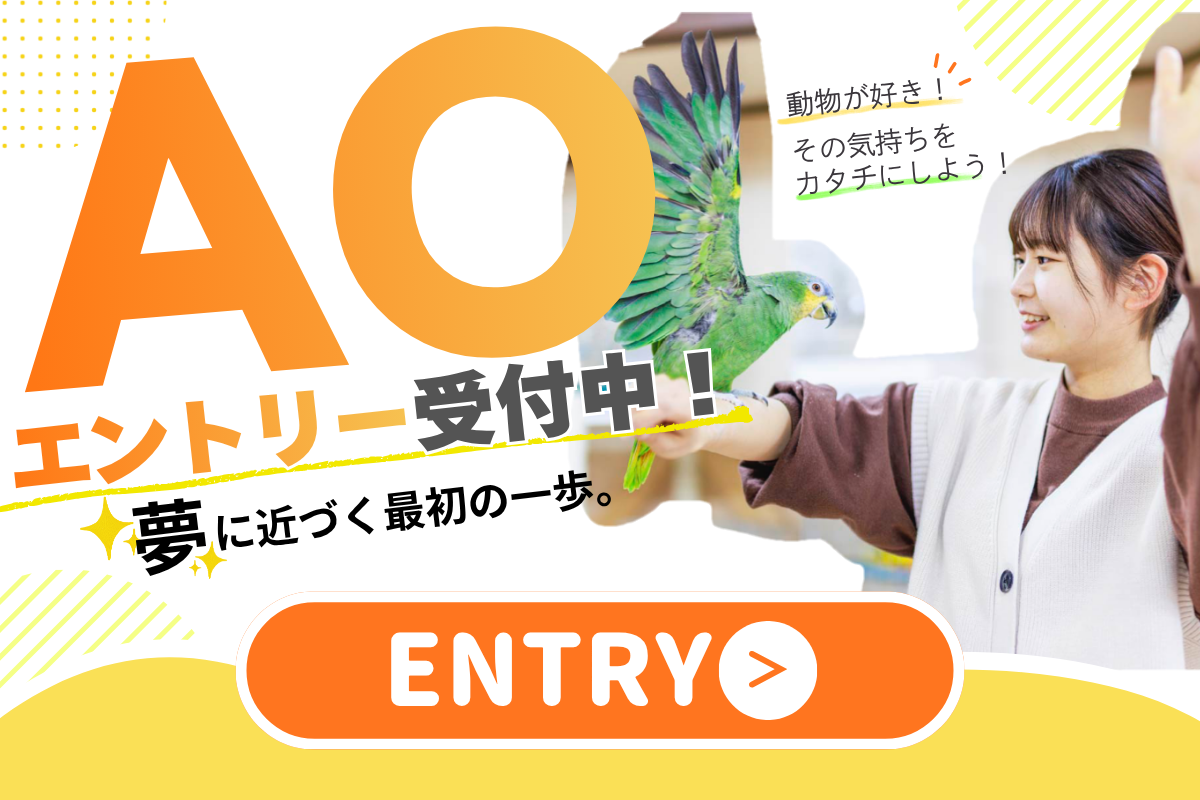 AOエントリーはコチラ